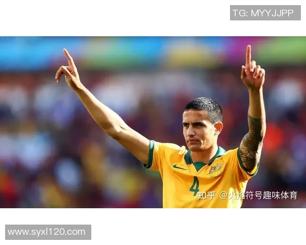 全球五大洲足球比赛精彩视频直播尽在掌握中